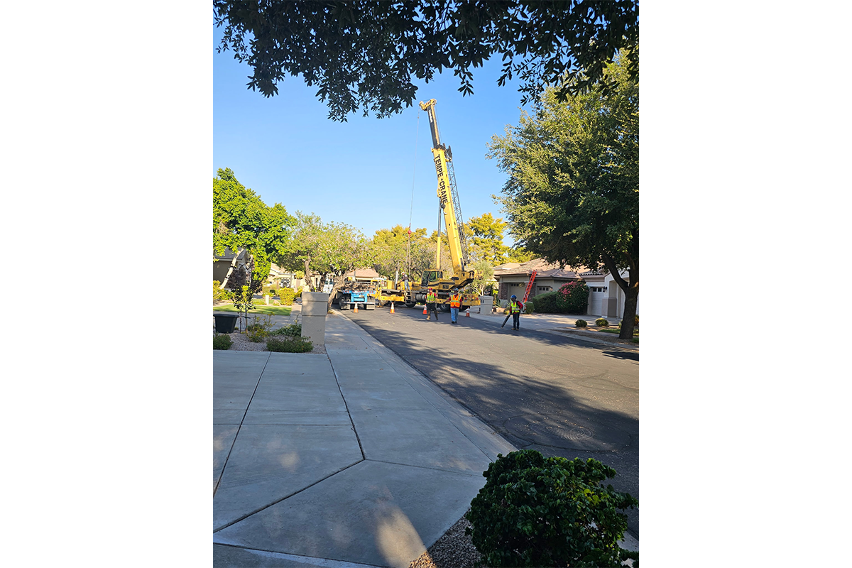 Tree service gallery photo